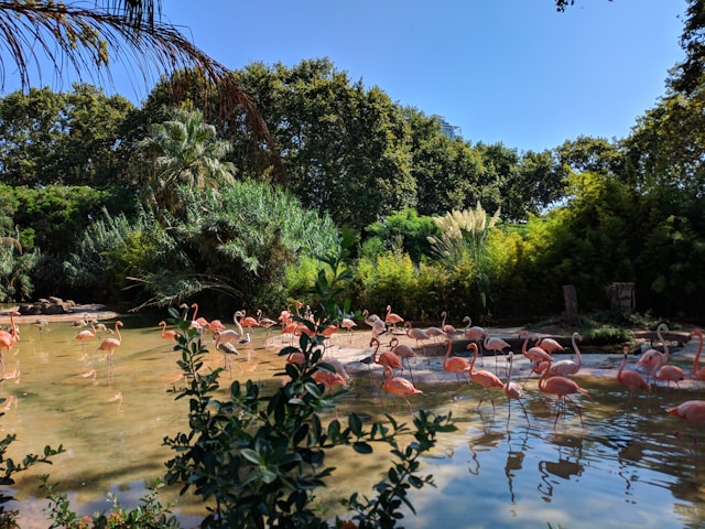 Things To Do in Barcelona