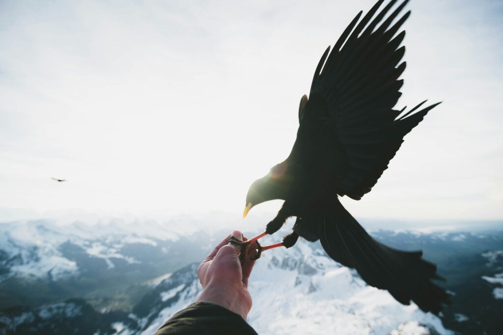 13 Best Things to Do in Interlaken Switzerland | The Ultimate Guide 3 florian biedermann C5mrwhFTEvY unsplash