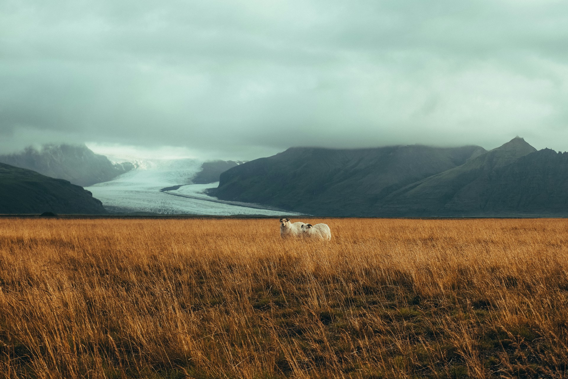 Best Time to Visit Iceland | A Seasonal Travel Guide 4 best time to visit Iceland