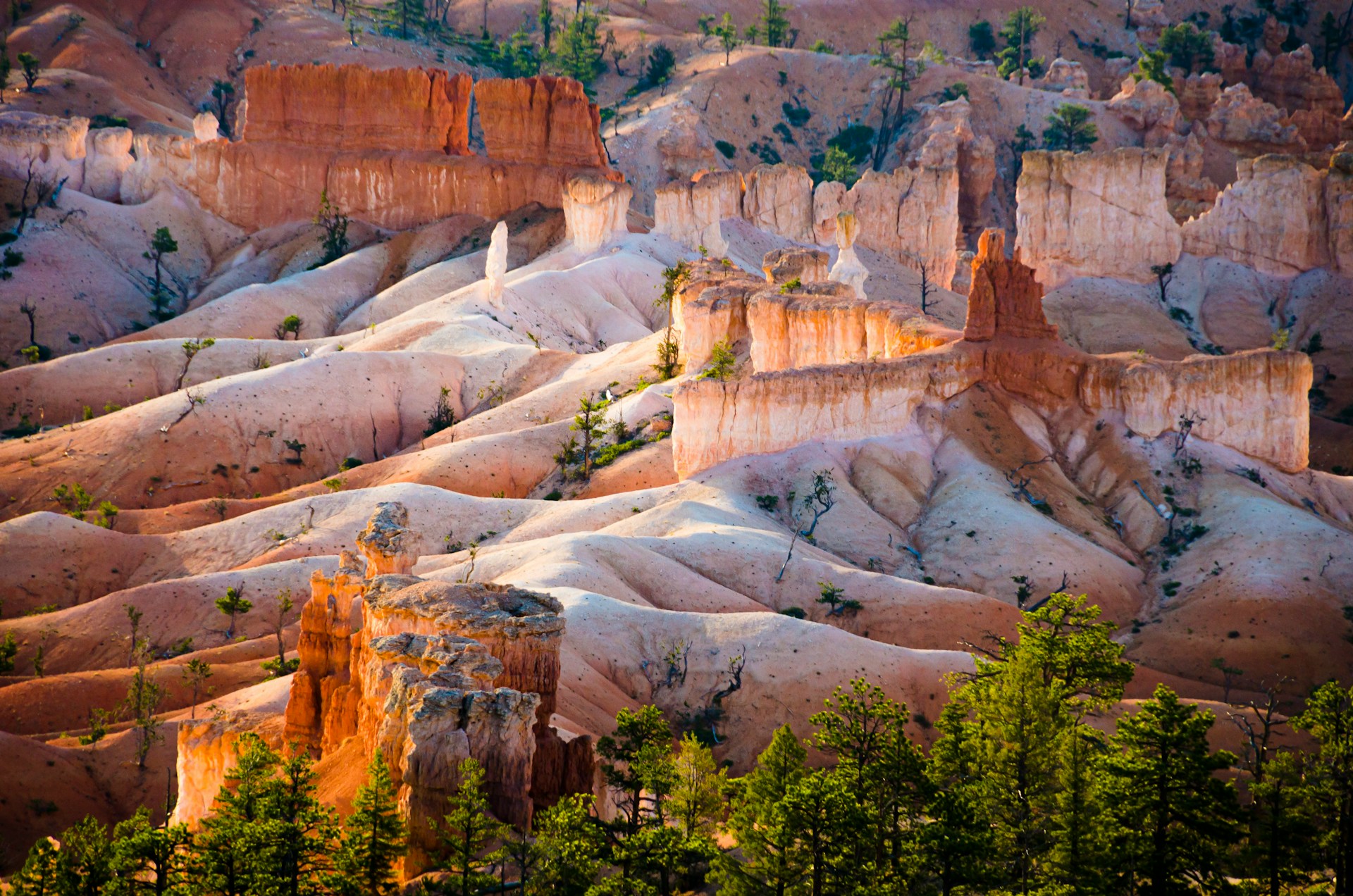 Read more about the article 5 Days Utah Itinerary | Exploring the Best of the Beehive State