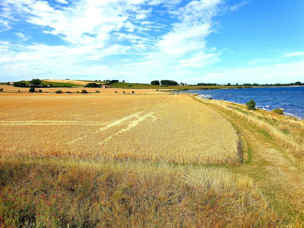 1 Week Denmark Itinerary | Explore the Land of Hygge! 4 heidi w hemmje owpHMTLfKcU unsplash
