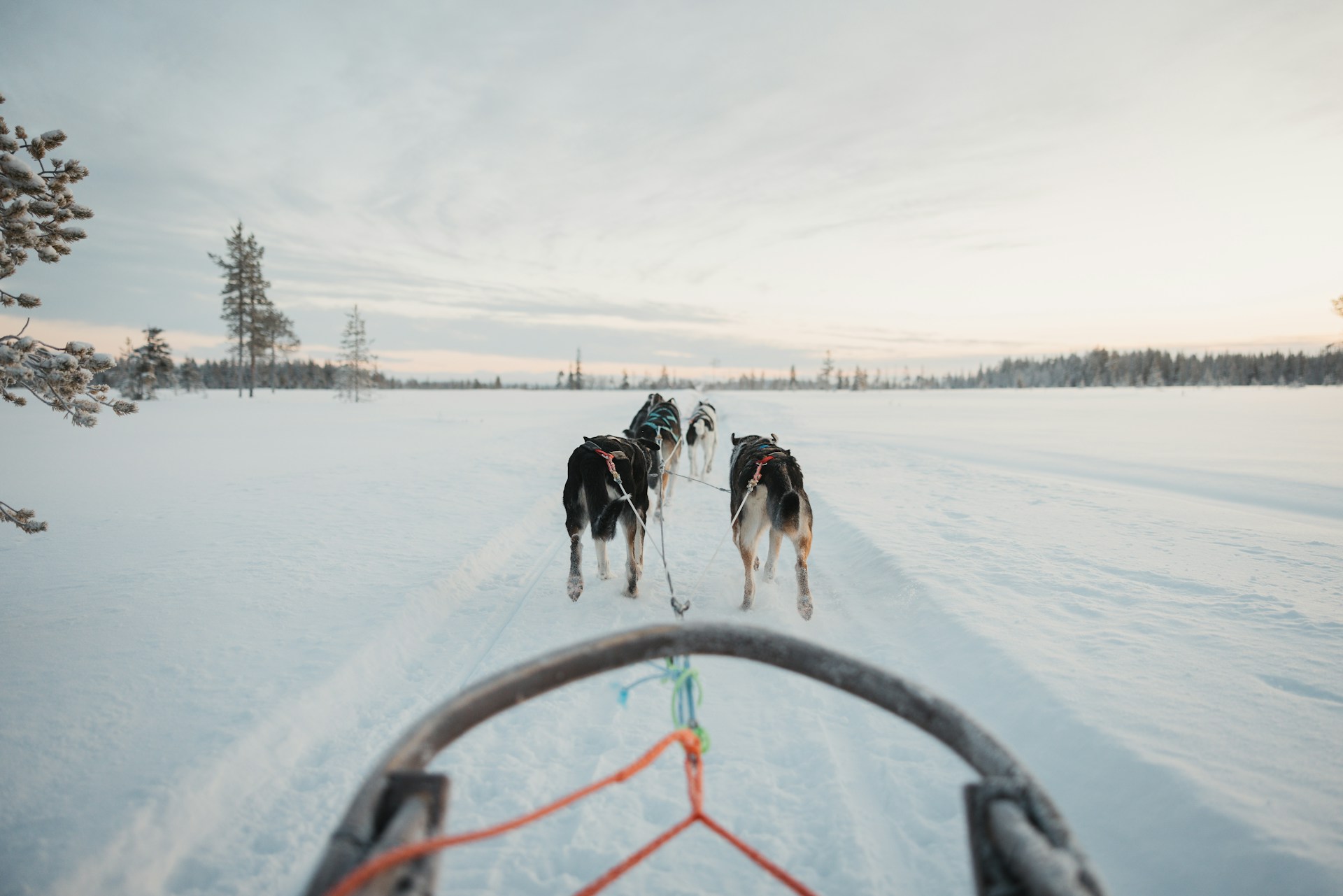 5 Days in Finland Itinerary | The Ultimate Winter Wonderland Itinerary 5 janosch diggelmann 4OfsyY4n9k0 unsplash