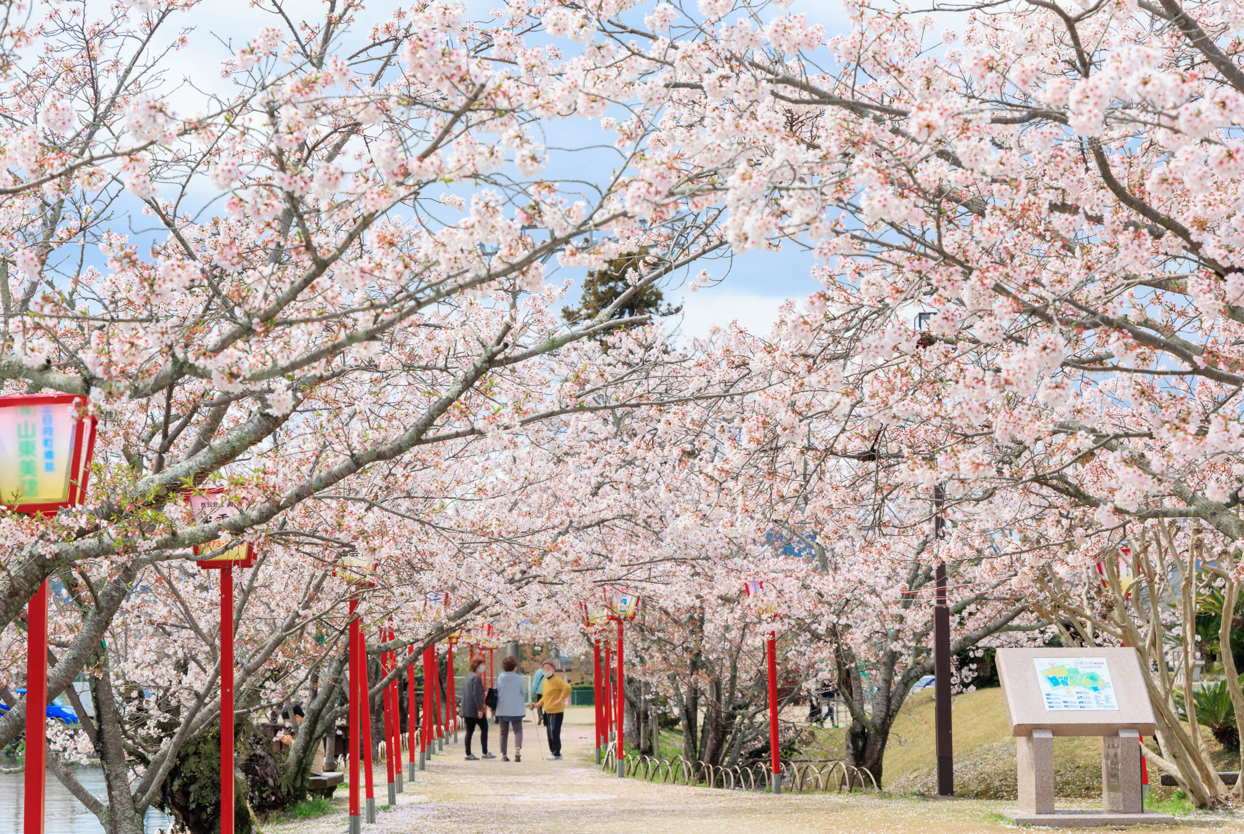 Read more about the article Best Time to Visit Japan: A Detailed Seasonal Guide