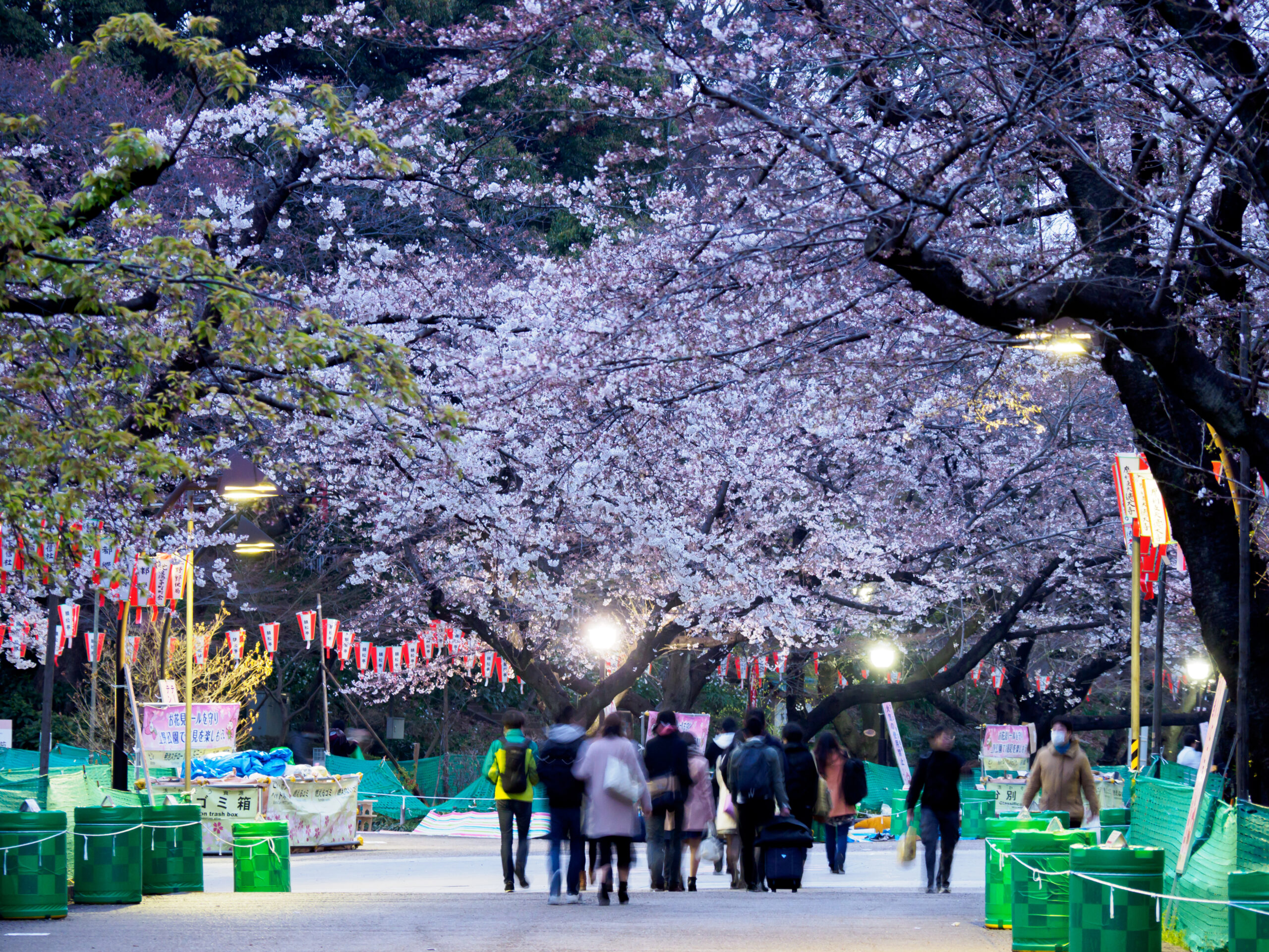 Unforgettable Things to Do in Japan: Discovering the Land of the Rising Sun 5 japan 51 scaled